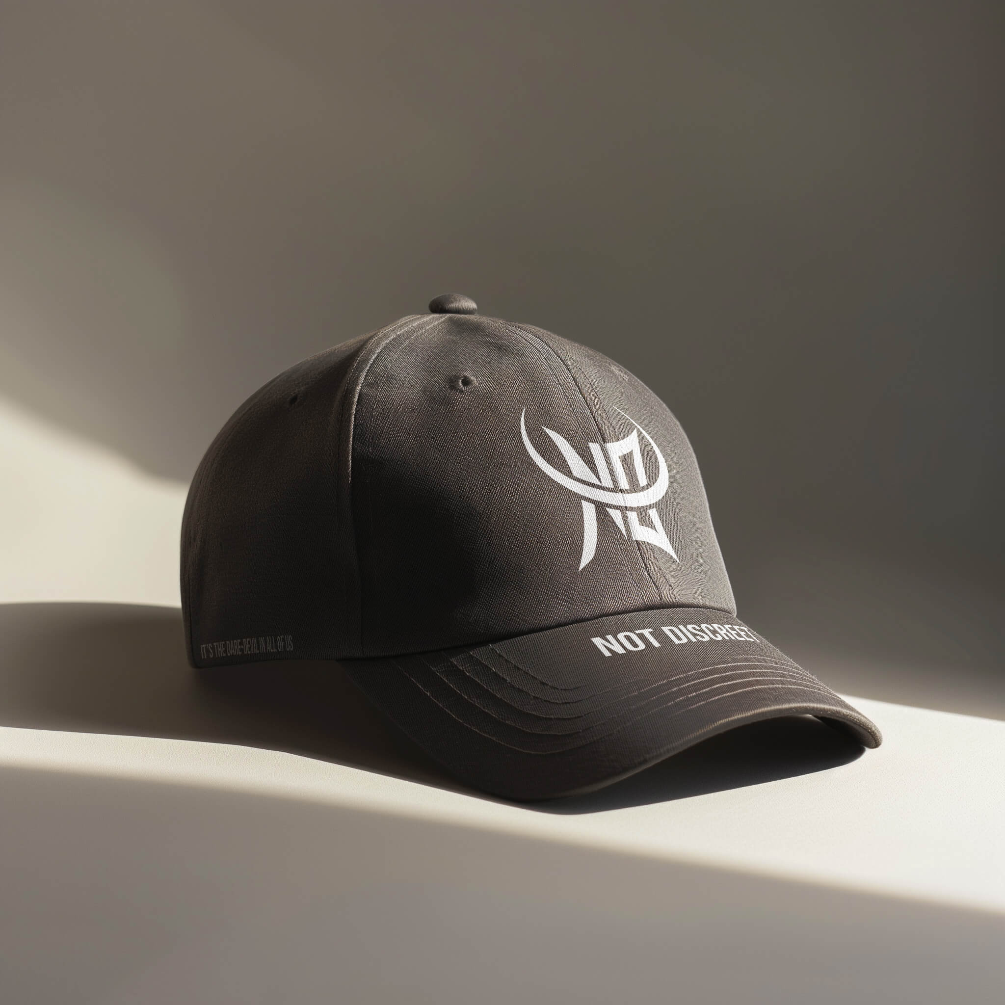 Not Discreet project preview